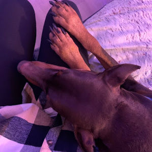 Meet your Posher, Shya3640